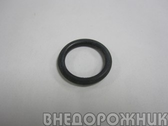 Кольцо уплотнительное датчика холостого хода ВАЗ 2110