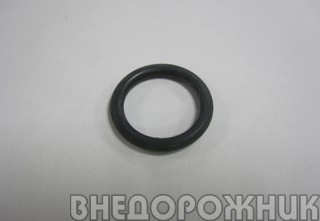 Кольцо уплотнительное датчика холостого хода ВАЗ 2110